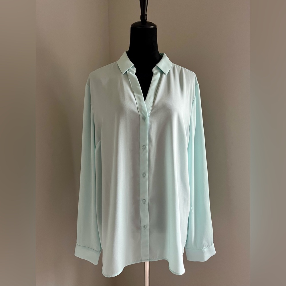 The Limited Button Down Blouse